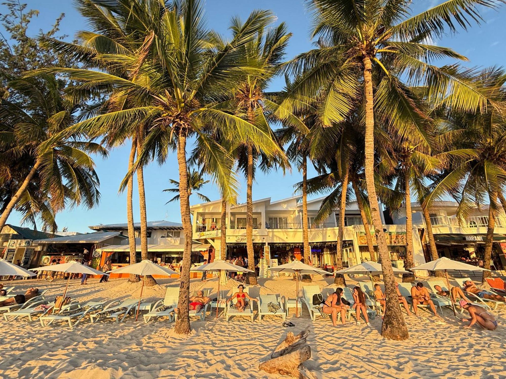 Calypso Beach And Dive Resort Manoc-Manoc Екстериор снимка